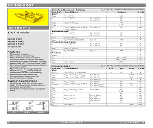 SK30GB067.pdf