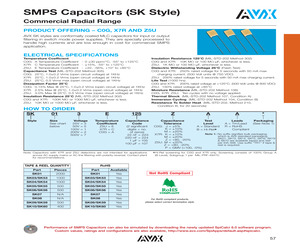 SK032A622MAR.pdf