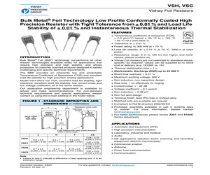 VSC19R1000BB.pdf