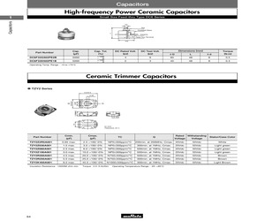 TZB4Z030CA10A00.pdf