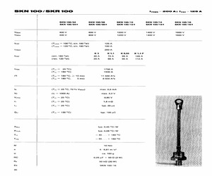 SKN100.pdf