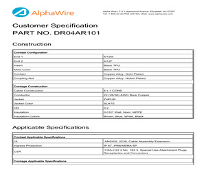DR04AR101 SL357.pdf
