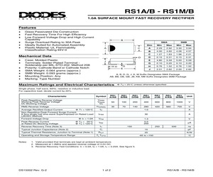 RS1B.pdf