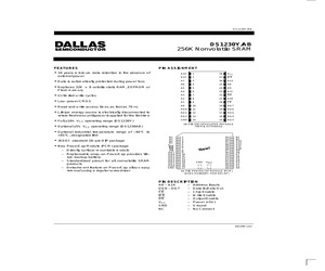 DS1230Y-100.pdf