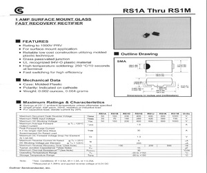 RS1K.pdf