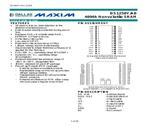 DS1250Y-100+.pdf