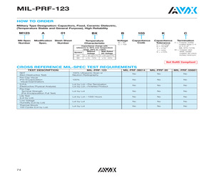 M123A07BPD272JW.pdf