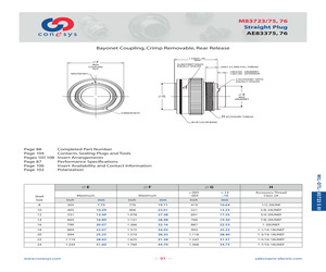 M83723/75R2461N.pdf