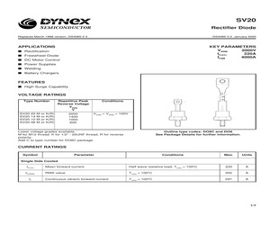 SV2010K.pdf