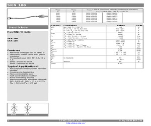 SKN100/08.pdf