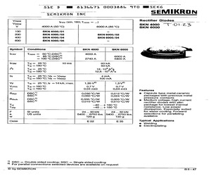 SKN4000/01.pdf