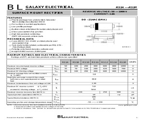 RS1G.pdf