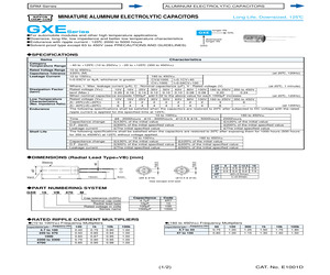 GXE100VB100M.pdf