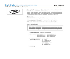 RM04F1020CT-LF.pdf