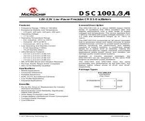 DSC1001AE1-066.6660T.pdf